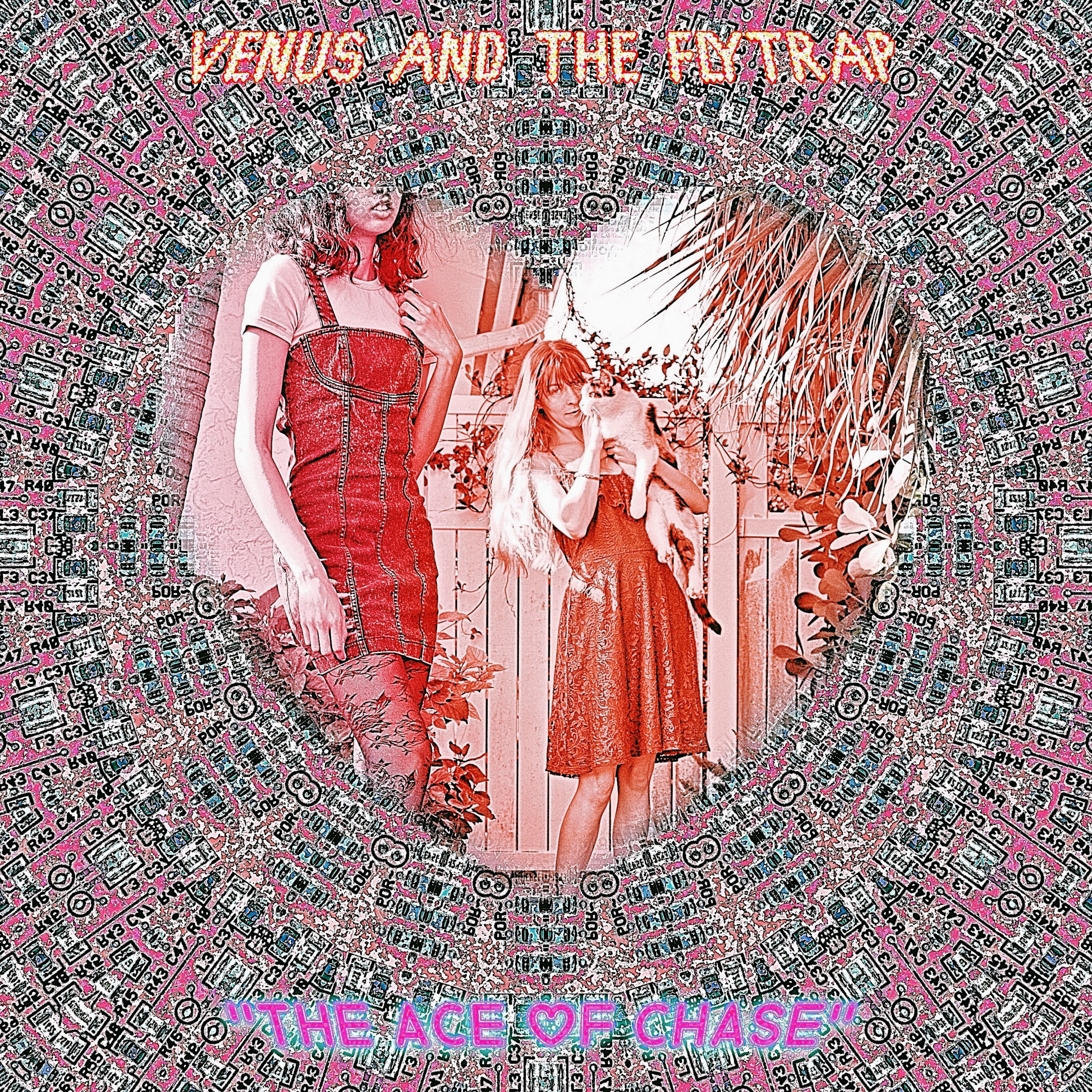 Venus and the Flytrap